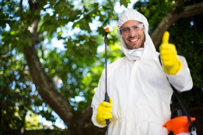Pest Control in Palmers Green, N13. Call Now 020 8166 9746