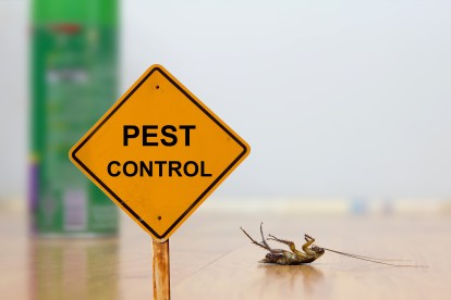 Pest Contol in Palmers Green, N13. Call Now 020 8166 9746